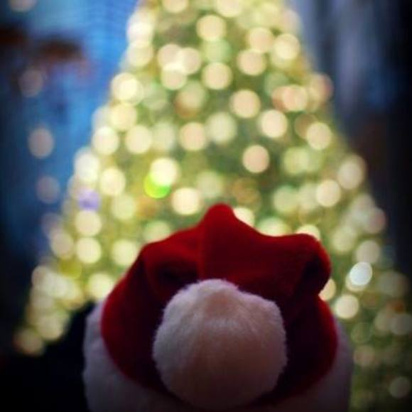 Meet your Posher, Renato - Picture 1 of 1